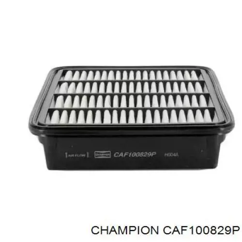 CAF100829P Champion