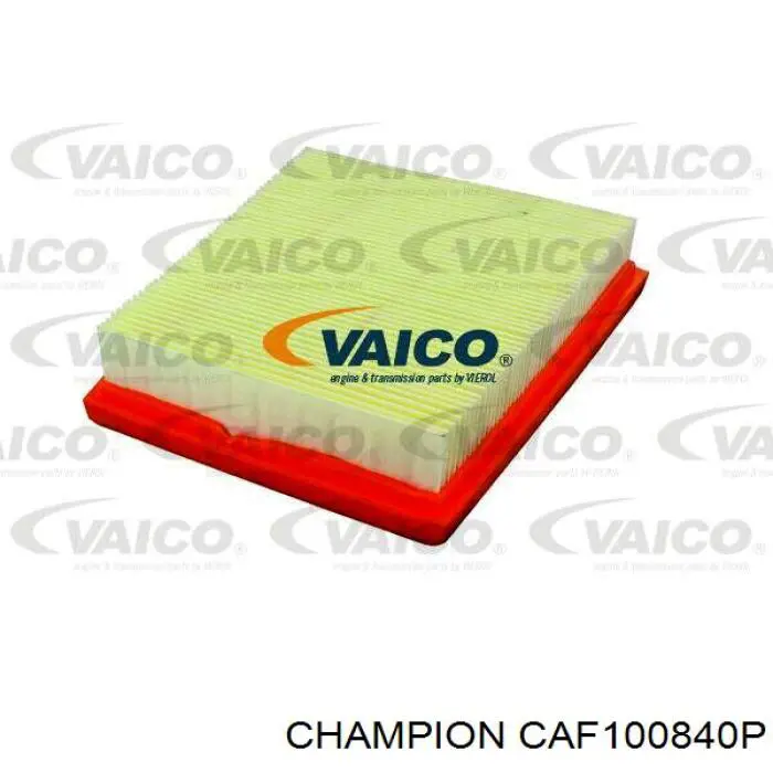 CAF100840P Champion