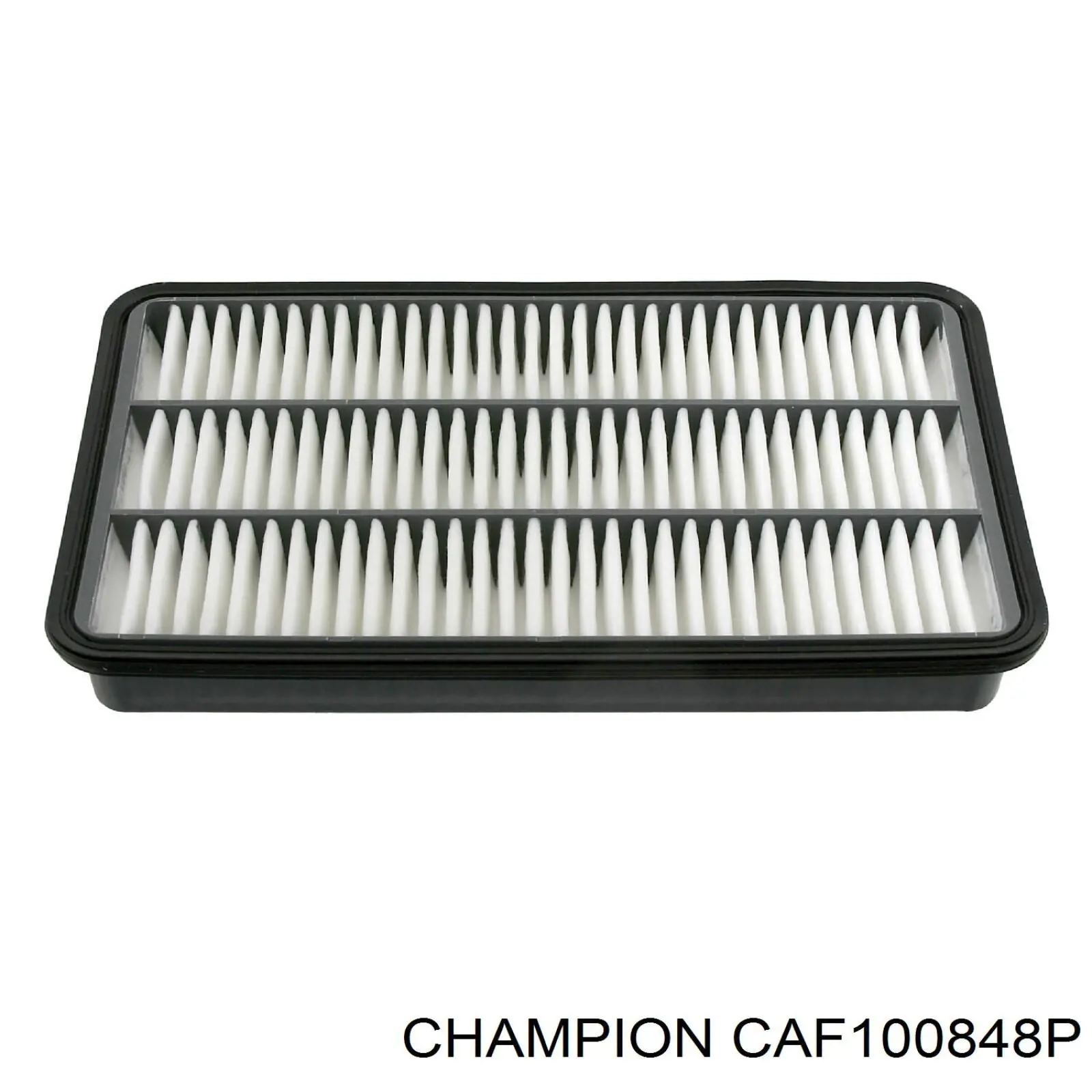 CAF100848P Champion