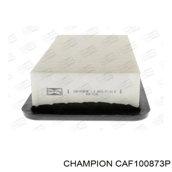 CAF100873P Champion