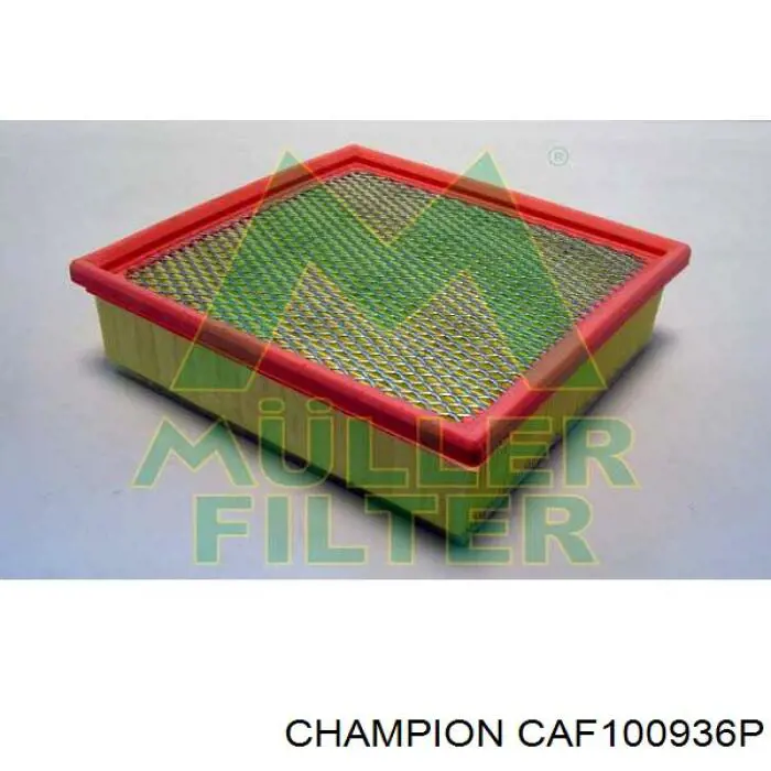 CAF100936P Champion