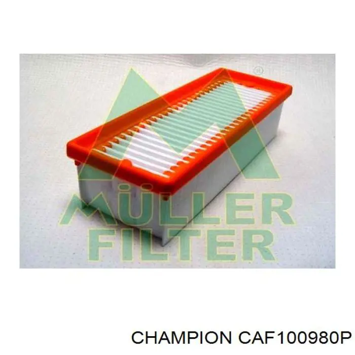 CAF100980P Champion