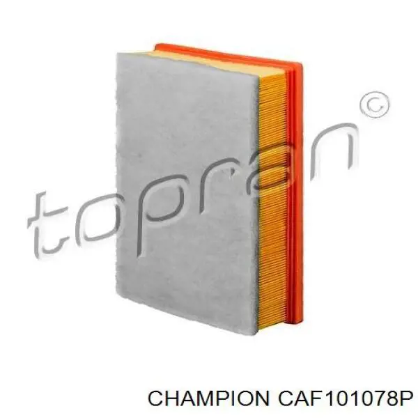 CAF101078P Champion