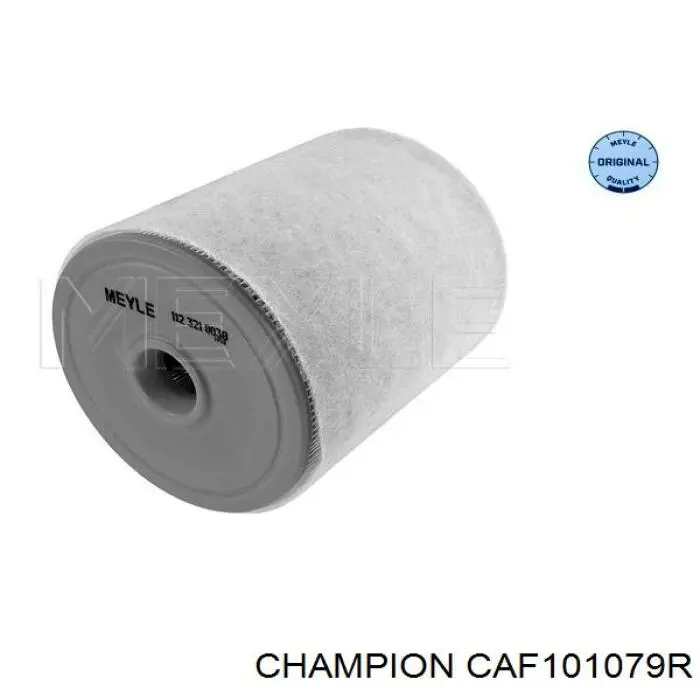 CAF101079R Champion