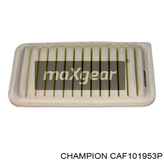 CAF101953P Champion