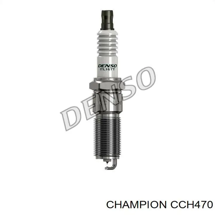 CCH470 Champion