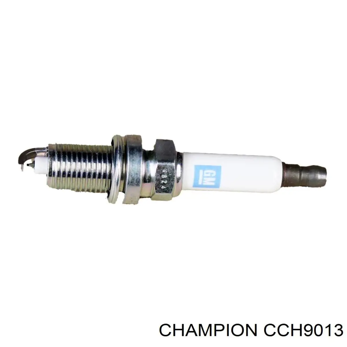 CCH9013 Champion