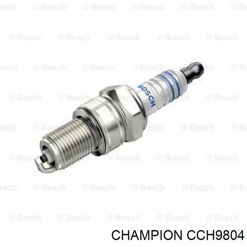 CCH9804 Champion