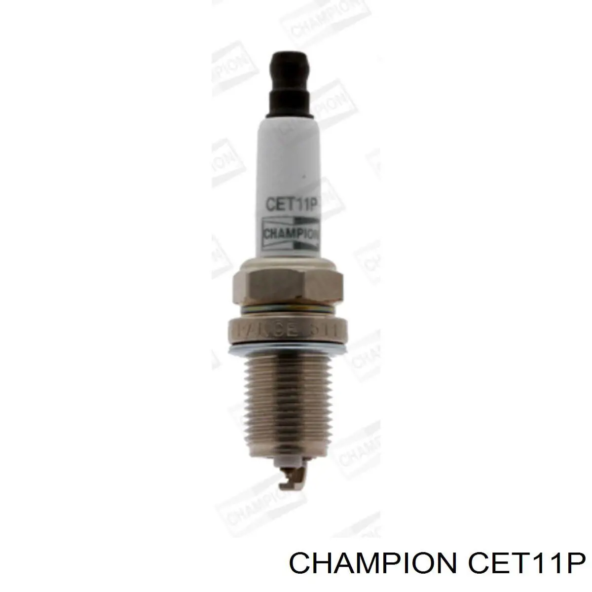 CET11P Champion