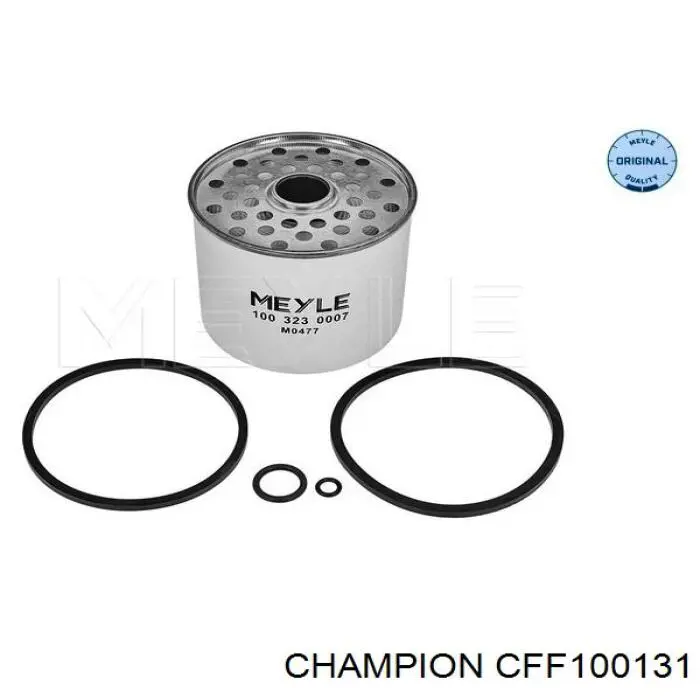 CFF100131 Champion