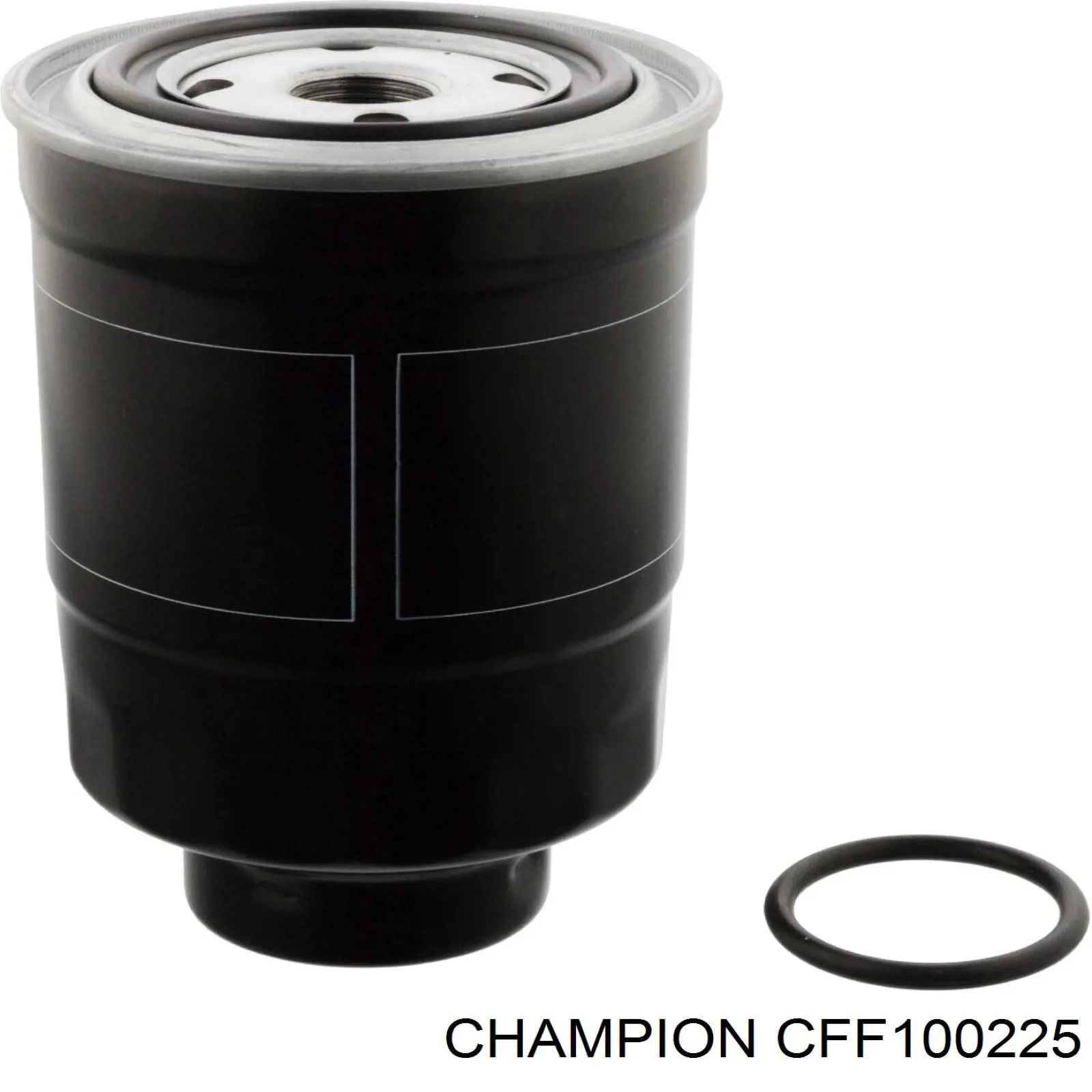 CFF100225 Champion