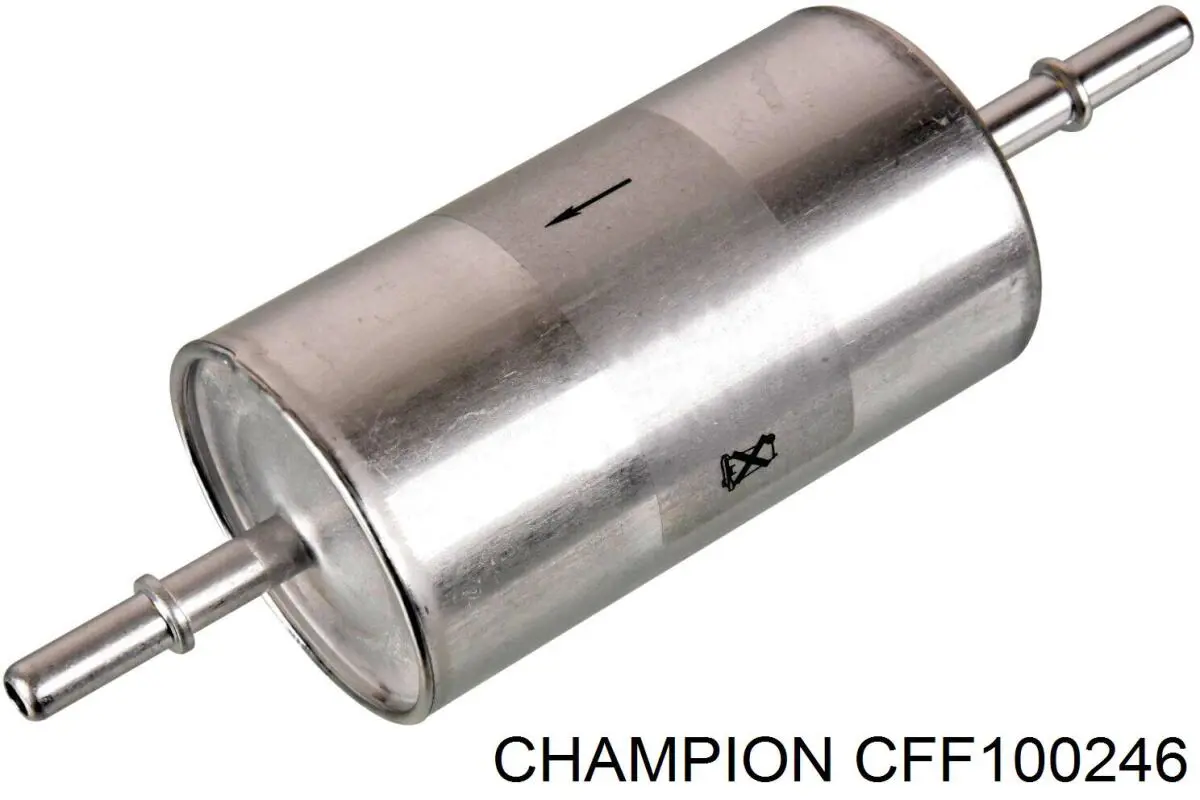 CFF100246 Champion