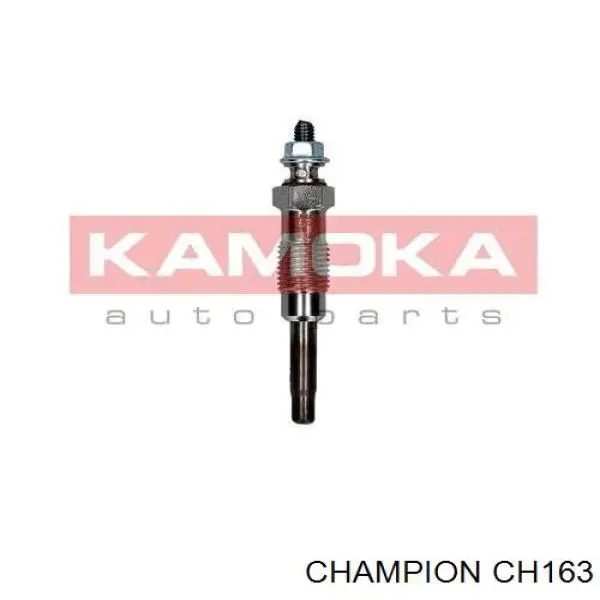 CH163 Champion