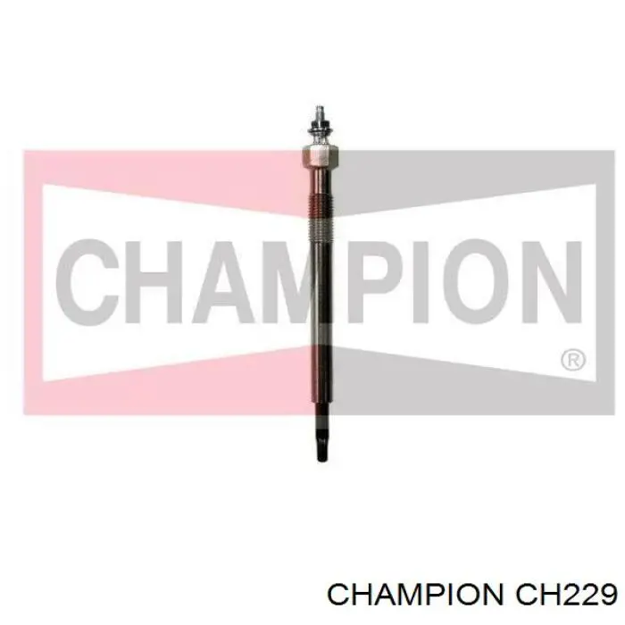 CH229 Champion vela de incandescência