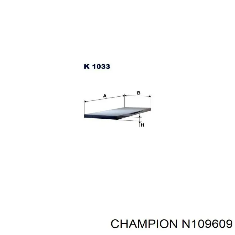 N109609 Champion