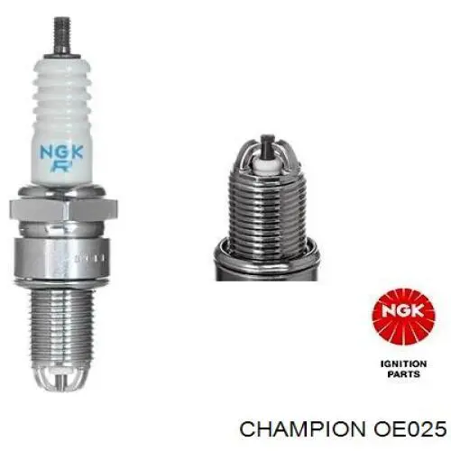 OE025 Champion 