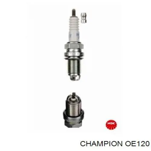  OE120 Champion