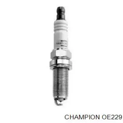 OE229 Champion