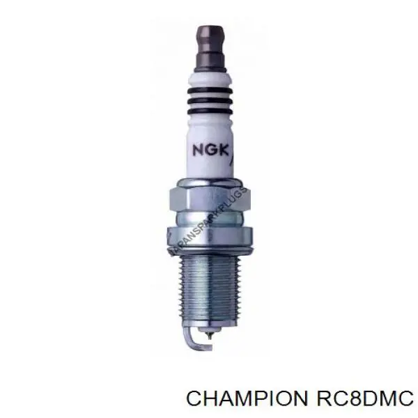 RC8DMC Champion