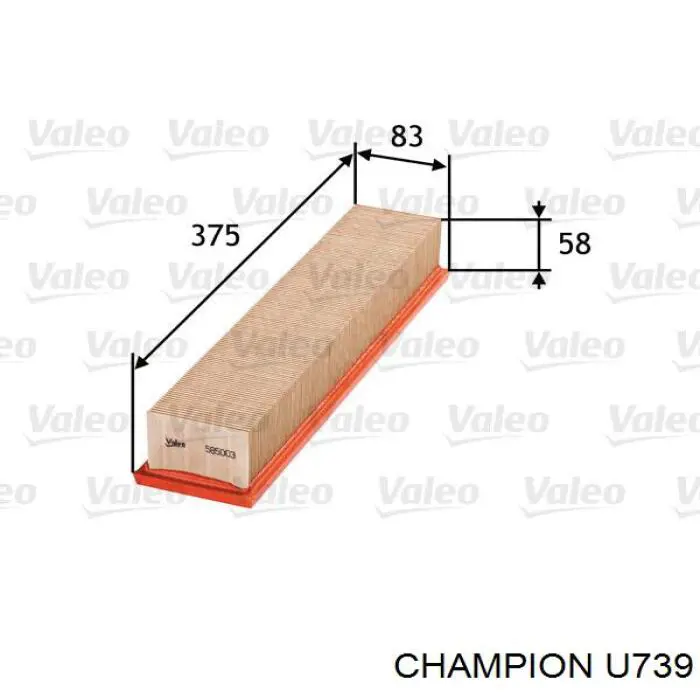 U739 Champion