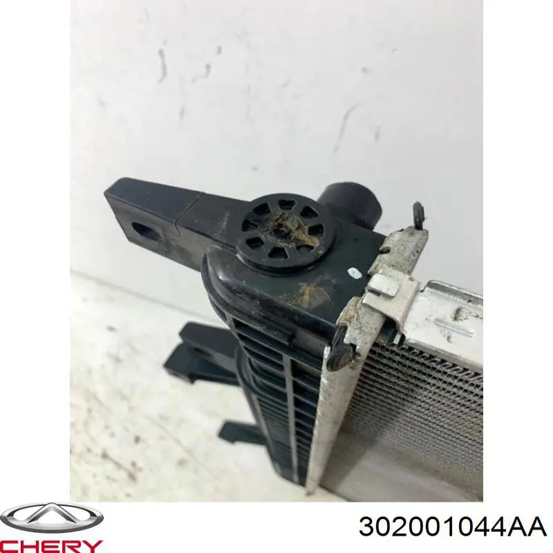 302001044AA Chery 
