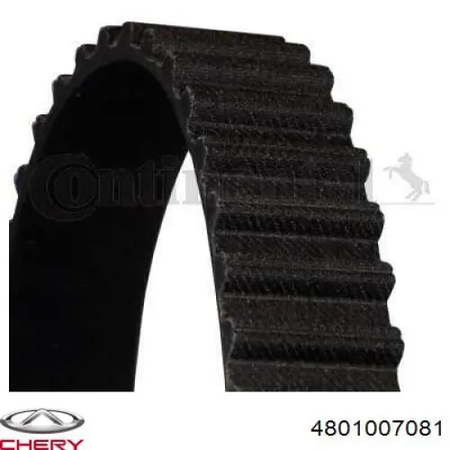91SM6268AAA Ford Ремень двигателя