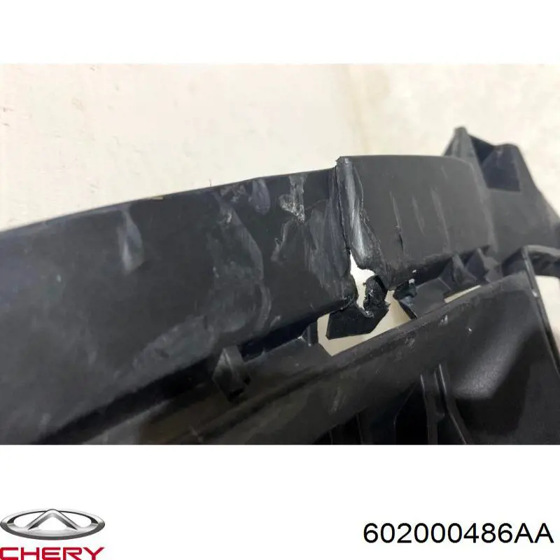 602000486AA Chery 