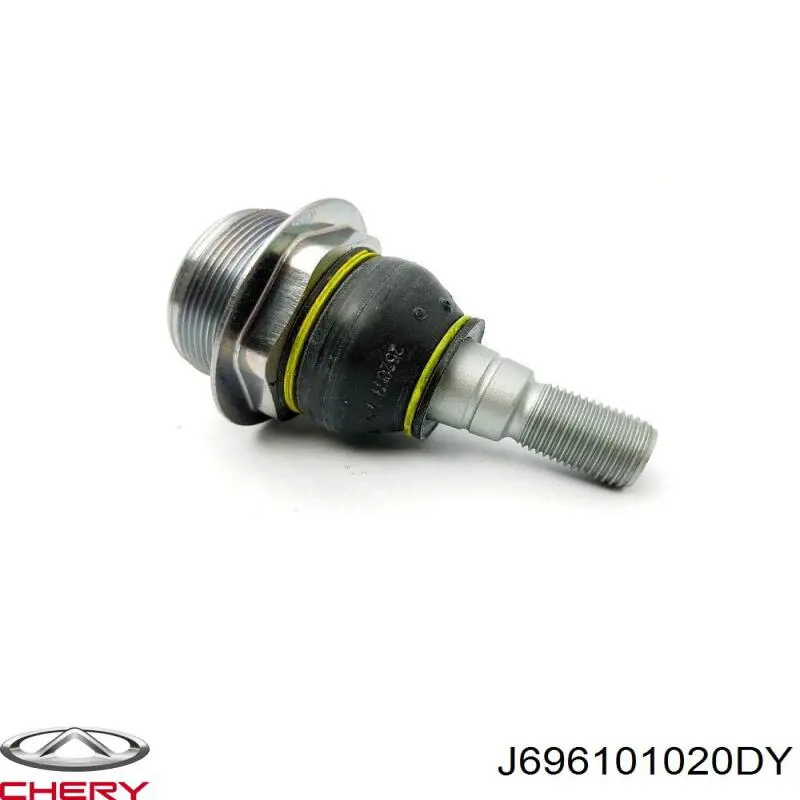 J696101020DY Chery 