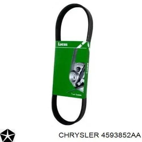 Клиновый ремень Chrysler 4593852AA цена, от 14.13 USD