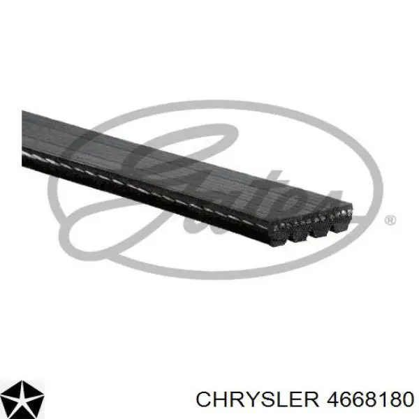 Клиновый ремень Chrysler 4668180 цена, от 6.05 USD