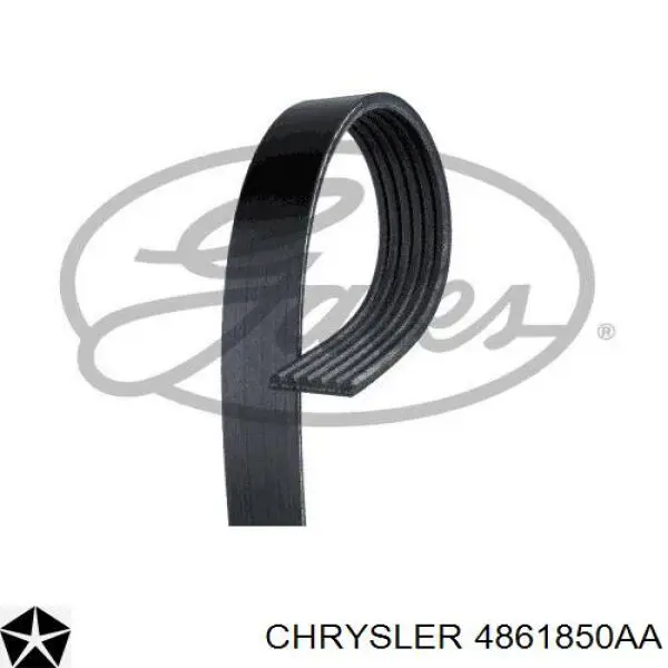 4861850AA Chrysler Поликлиновый ремень