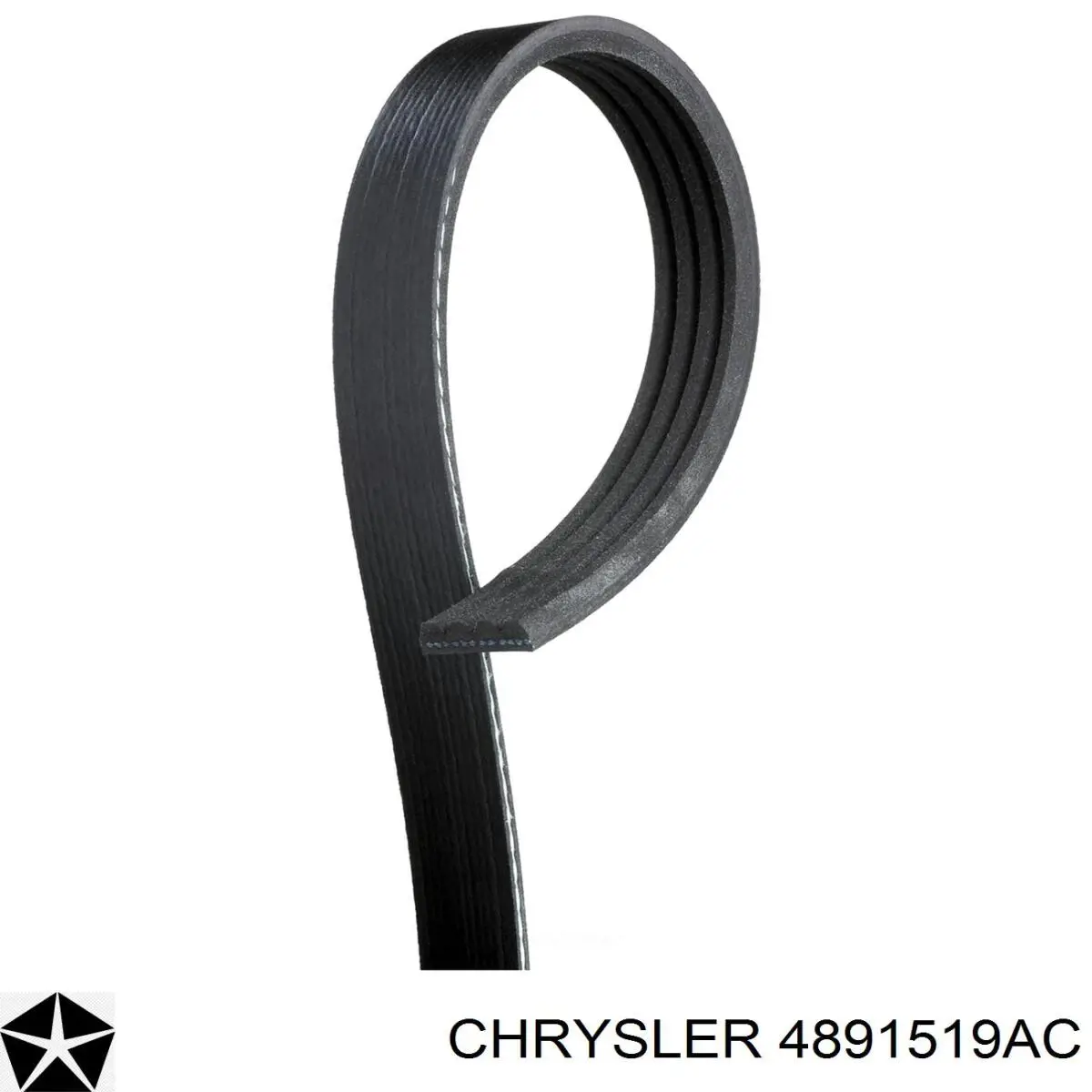 Купить 4891519AC Chrysler Ремень генератора