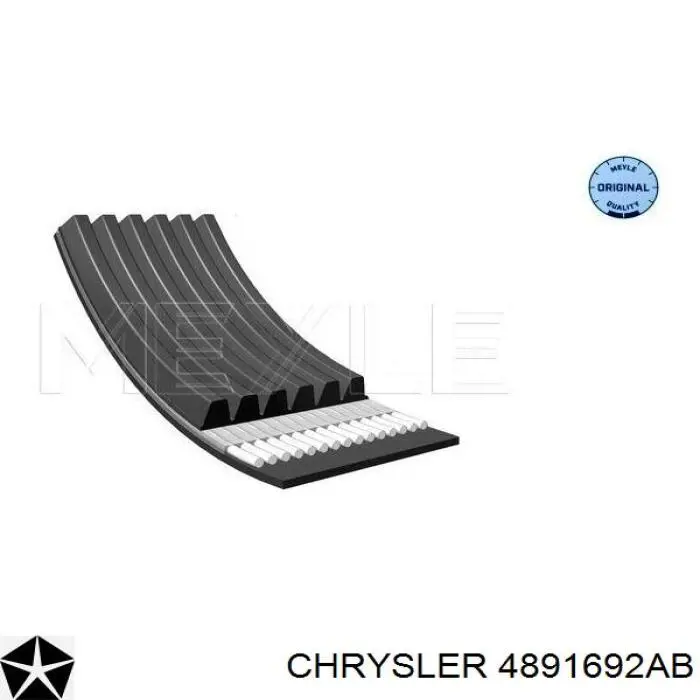 Ремень генератора 4891692AB Chrysler