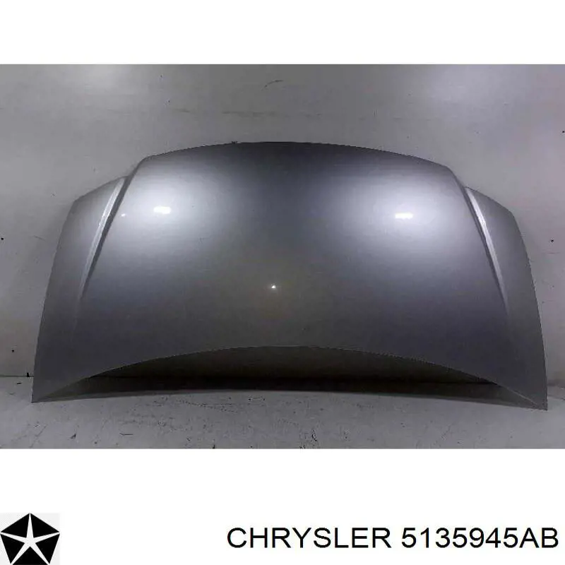 Porta traseira (3ª/5ª porta-malas (tampa de alcapão) para Chrysler Voyager III RG, RS