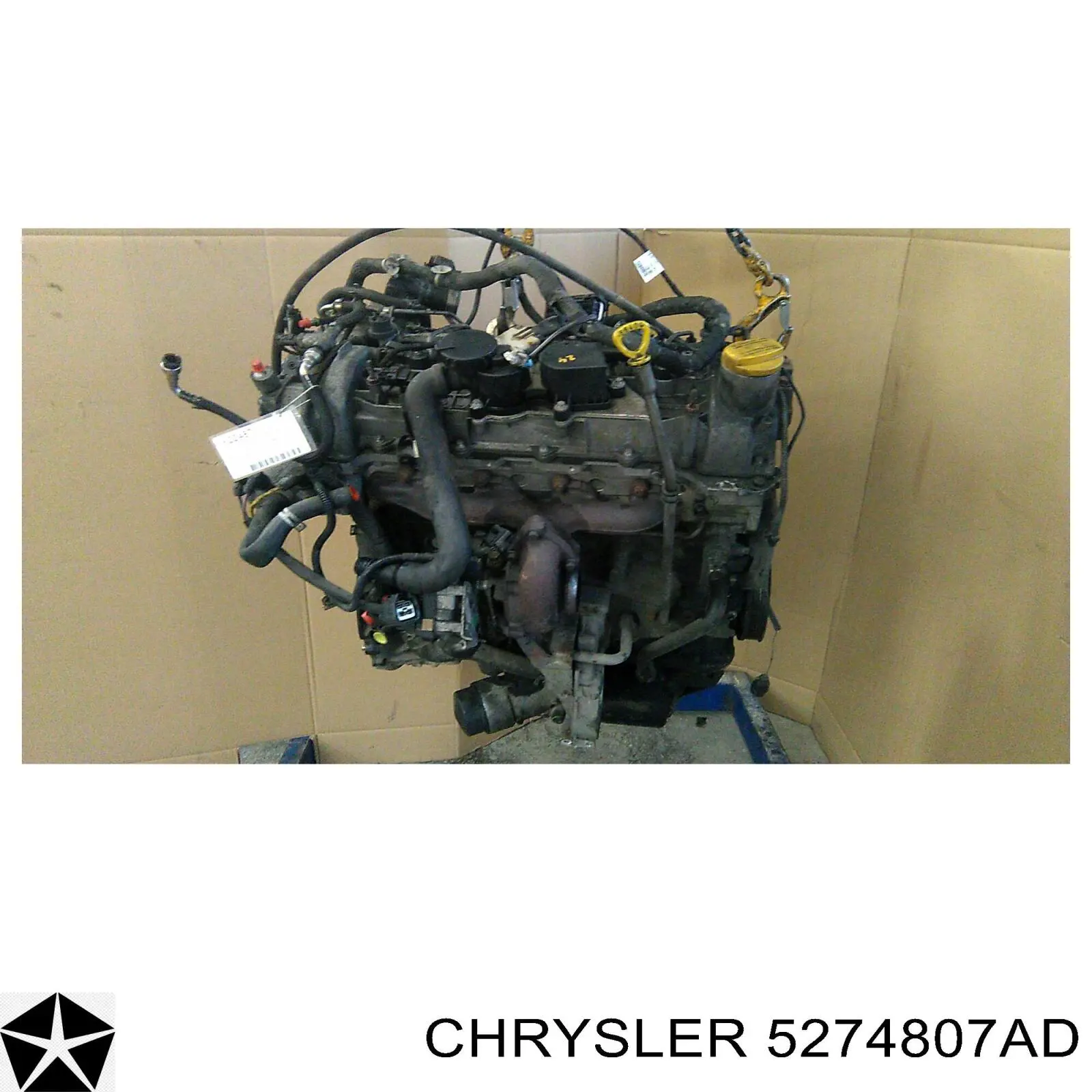 5274807AD Chrysler junta homocinética externa dianteira