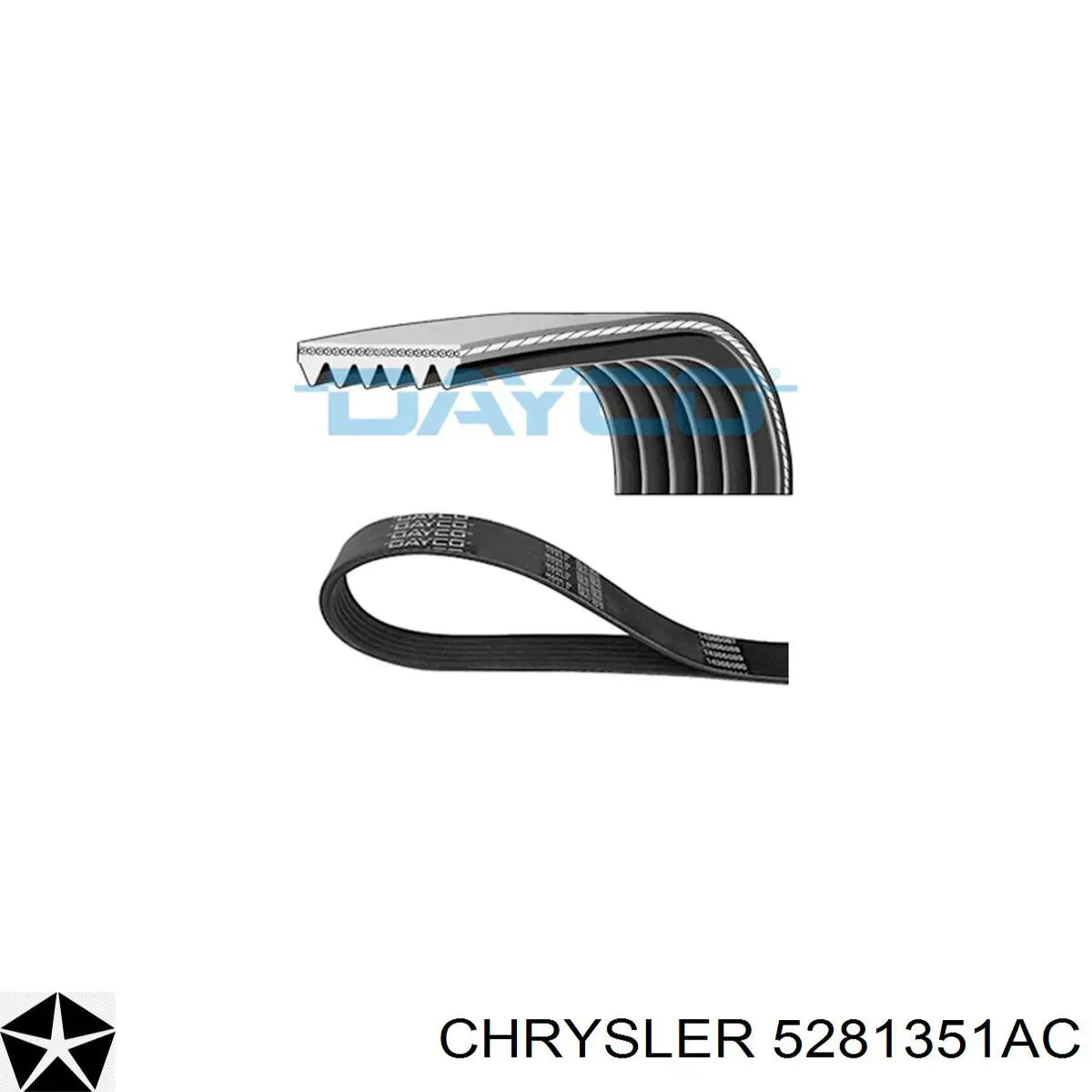Купить 5281351AC Chrysler Ремень генератора