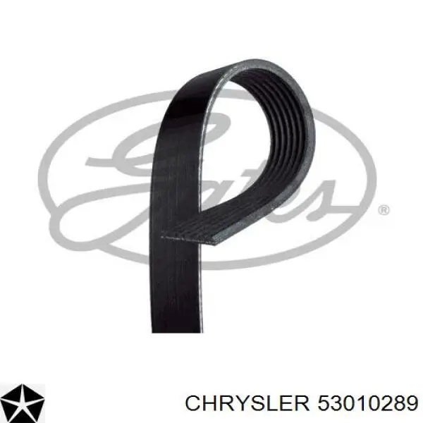 Ремень генератора 53010289 Chrysler