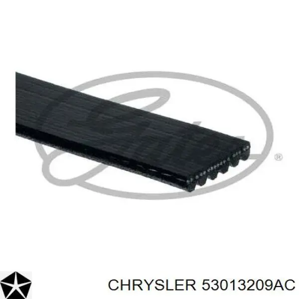 Клиновый ремень Chrysler 53013209AC цена, от 14.36 USD