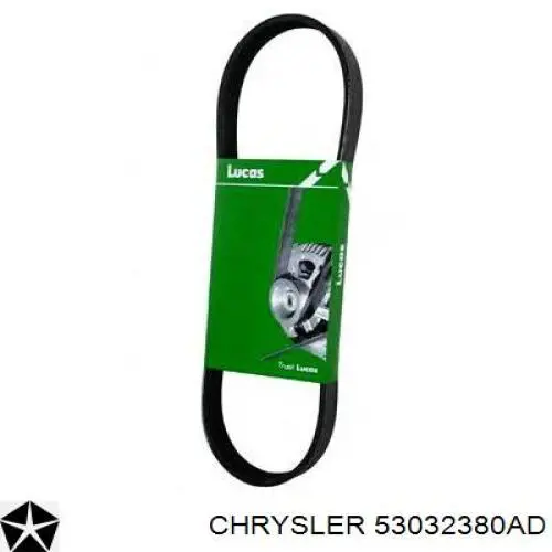 Купить 53032380AD Chrysler Ремень генератора