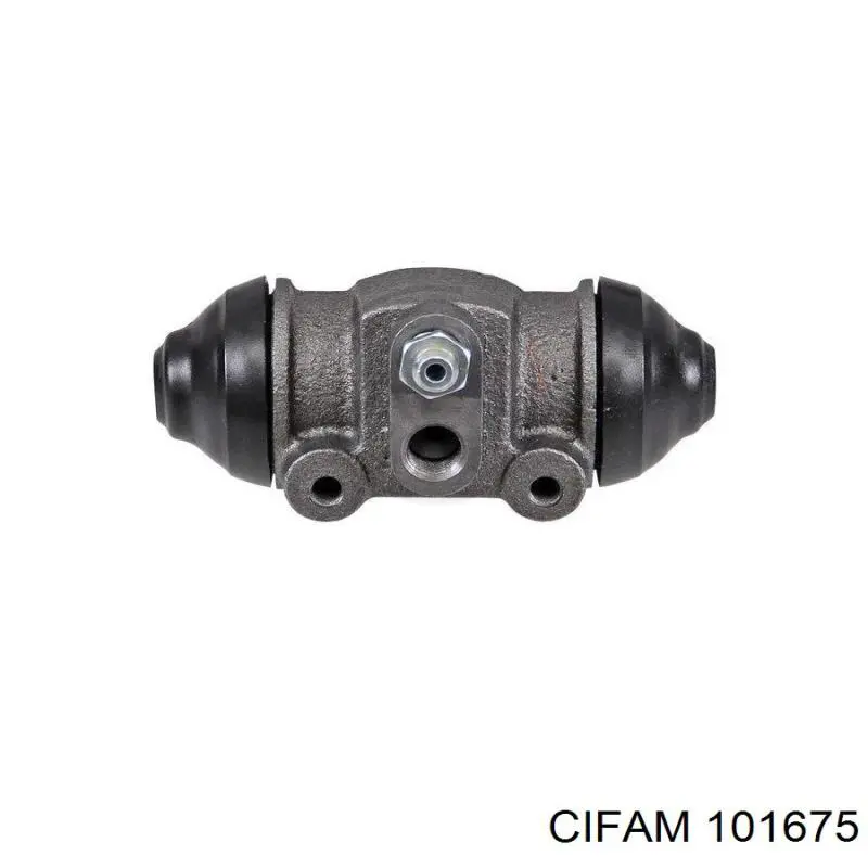 101675 Cifam