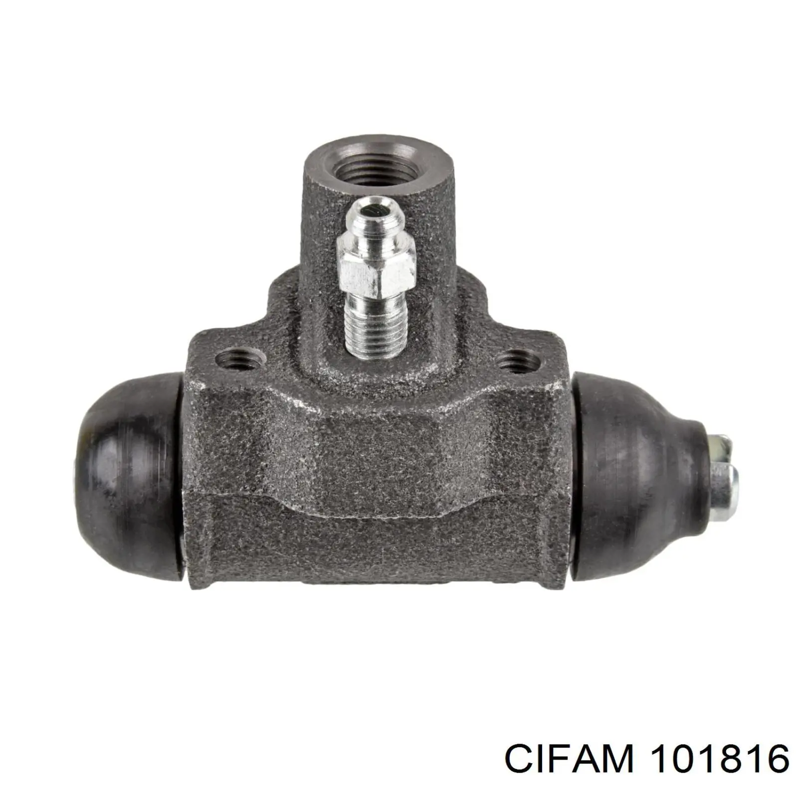 101816 Cifam