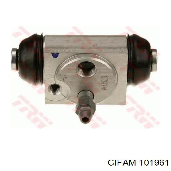 101961 Cifam