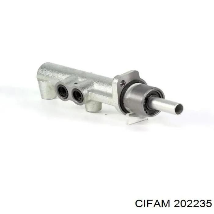 ГТЦ Cifam 202235