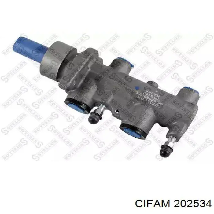 ГТЦ Cifam 202534