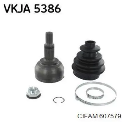 607579 Cifam