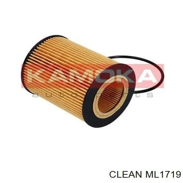 Масляный фильтр ML1719 Clean