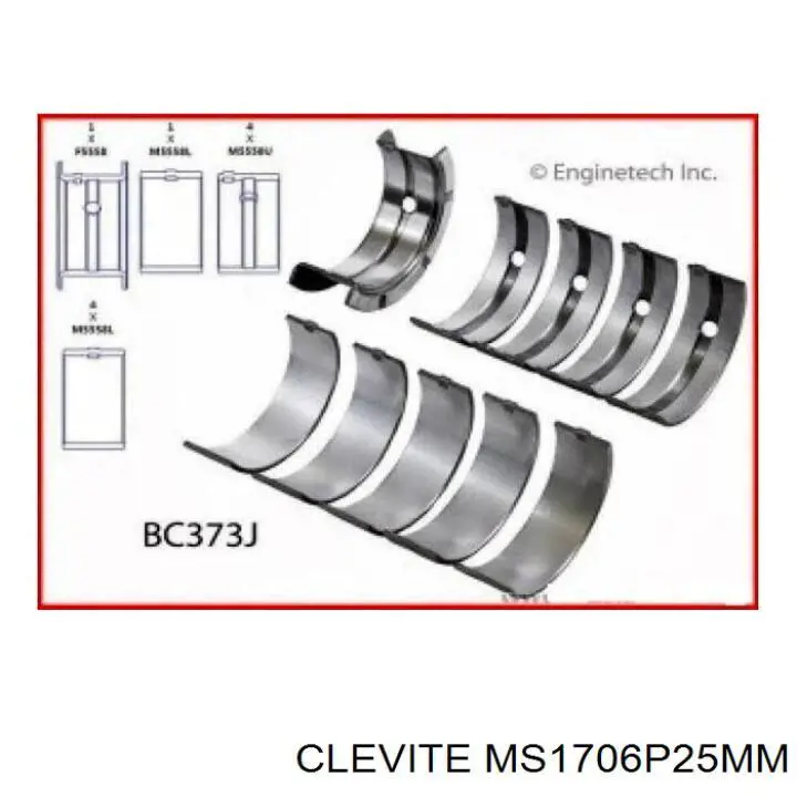MS1706P25MM Clevite вкладыши коленвала коренные, комплект, 1-й ремонт (+0,25)
