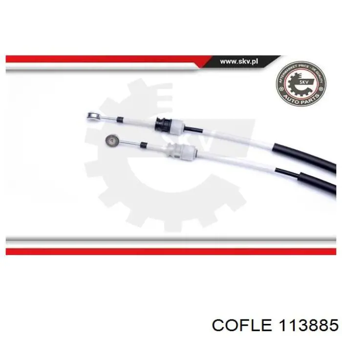 113885 Cofle