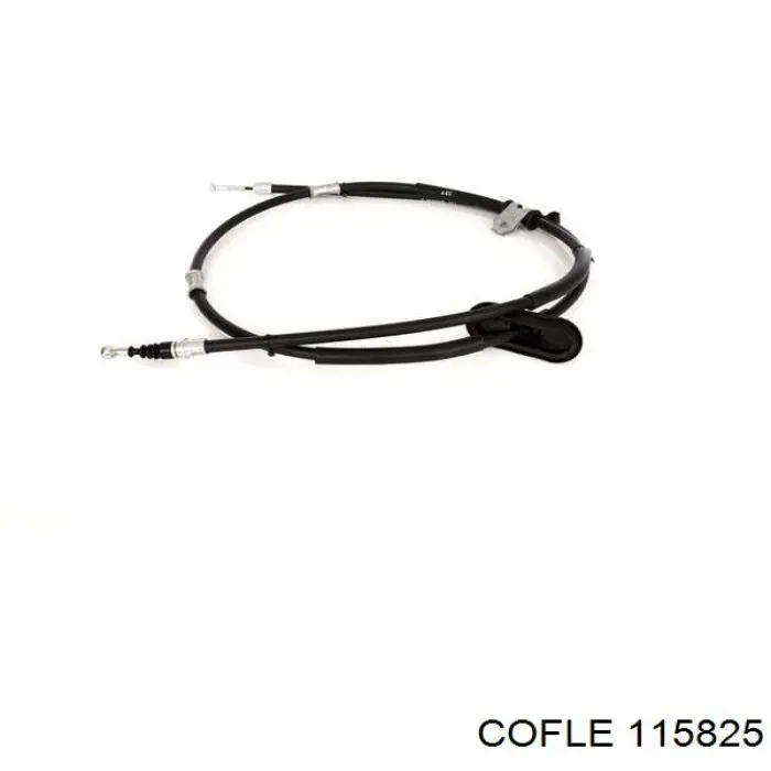 115825 Cofle