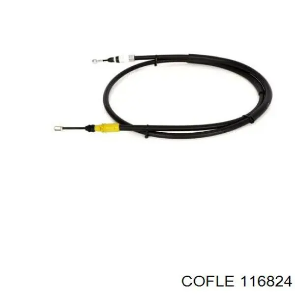 116824 Cofle